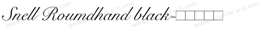 Snell Roumdhand black字体转换